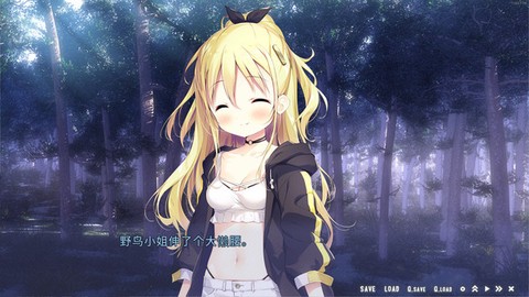 星空列车与白的旅行[图3]