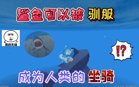 迷你世界鱼用什么驯服[图2]