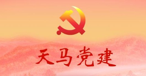 天马党建[图1]