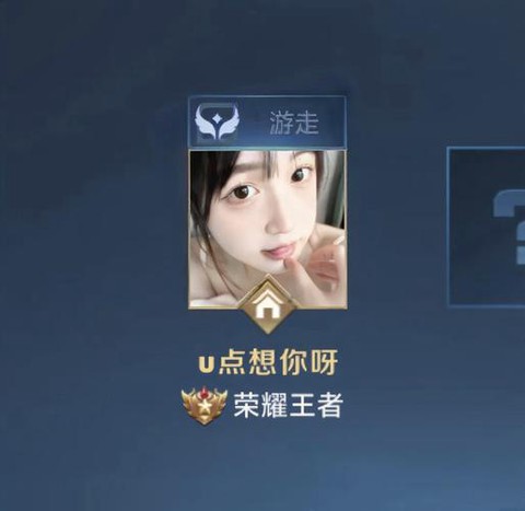 王者荣耀竖着的名字怎么弄的[图2]
