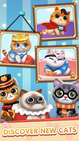 猫咪日记[图1]
