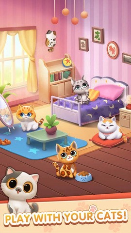 猫咪日记图3