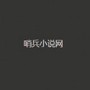 哨兵小说