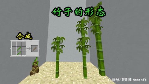 我的世界竹子怎么得[图1]