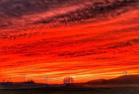 绝地怎么把血调成红色[图1]