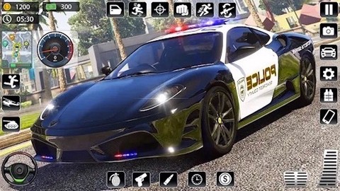 模拟真实警车图3