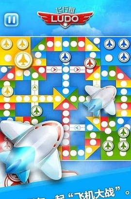 飞行棋图3