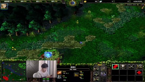 dota散失是什么
