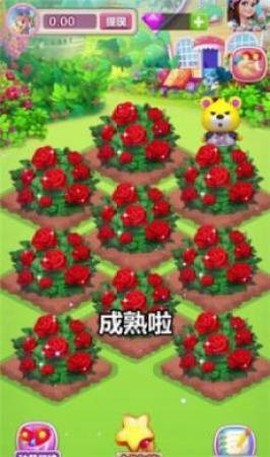 浪漫花园图1