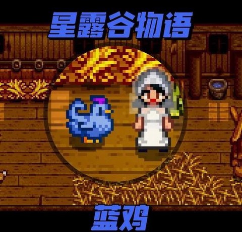 星露谷物语鸡怎么获得[图1]