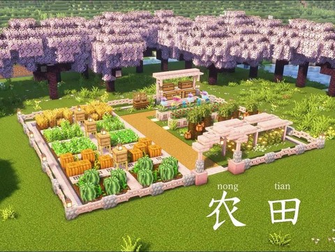 我的世界庄稼怎么种[图1]