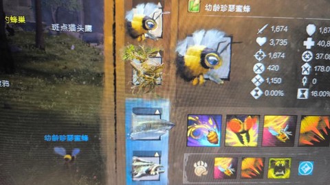 激战2游侠什么宠物好[图2]