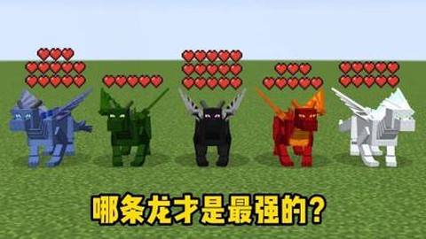 我的世界什么龙最强[图2]