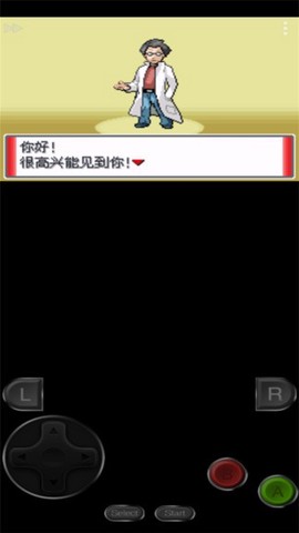 口袋妖怪:赭色图3