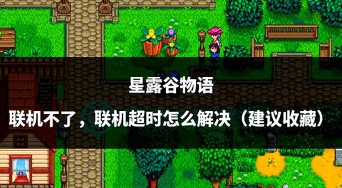 星露谷物语怎么离线[图2]