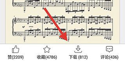 虫虫钢琴[图3]