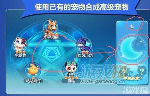 天天酷跑泡泡狗是什么[图2]