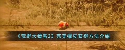 荒野大镖客皮怎么用[图1]