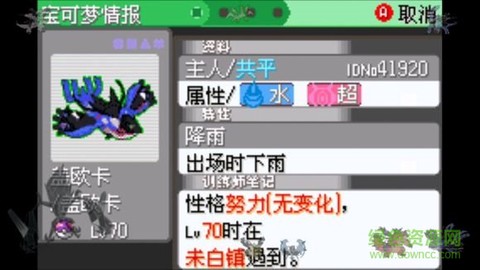 口袋妖怪：日月宝石八木特别篇[图1]