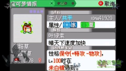 口袋妖怪：日月宝石八木特别篇图1