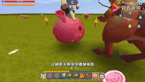 迷你世界里的团子吃什么