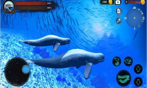海洋大捕杀图1