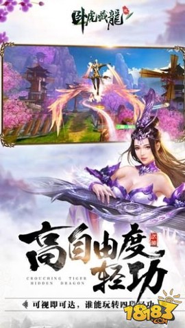 卧虎藏龙贰图2