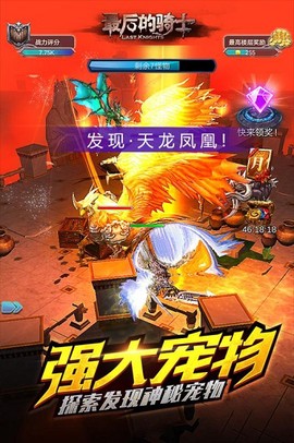 最后的骑士图2