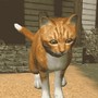 https://static.down8818.com/uploads/20250826/68ad62a1767f04.70657159.png