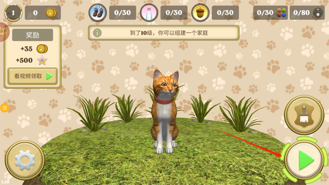 快乐猫猫传[图3]