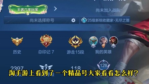 王者荣耀怎么看皮肤数量
