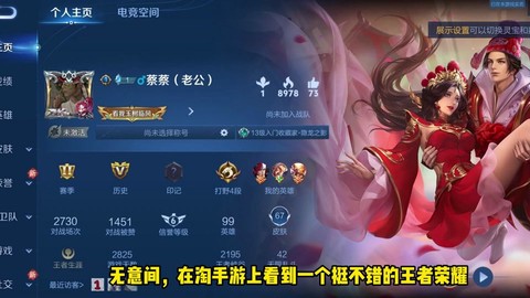 王者荣耀怎么看皮肤数量[图2]