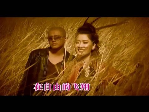 凤凰传奇怎么出道的