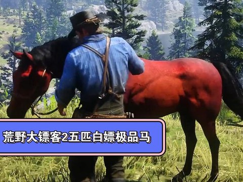 荒野大镖客如何洗马[图2]