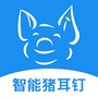 数据猪