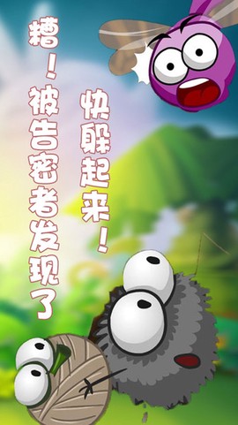 蜘蛛仔豆豆图1