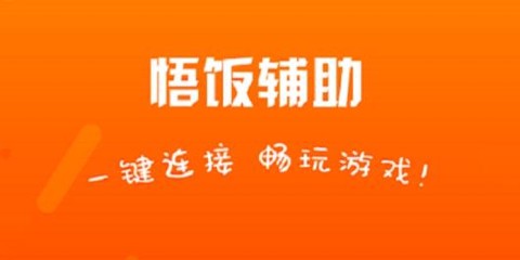 悟饭游戏电玩辅助[图1]