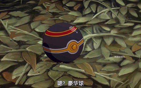 神奇宝贝第六部叫什么[图1]