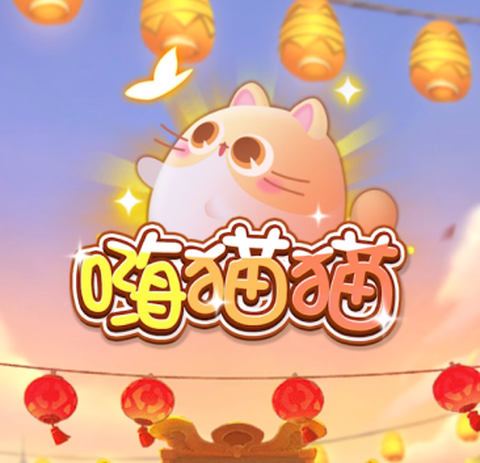 嗨猫猫[图1]