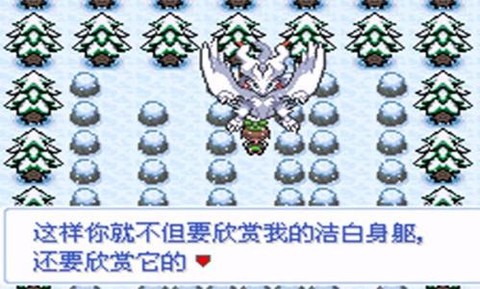 口袋妖怪:雪之白图2