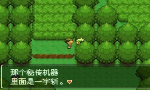 口袋妖怪:雪之白图3