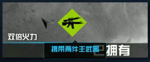 使命召唤双倍火力怎么用