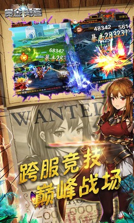 赏金勇者图3