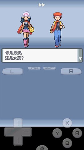 口袋妖怪:珍珠图3