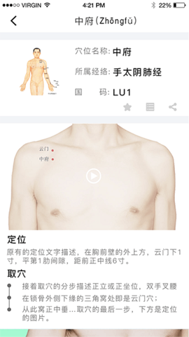 Ai经络穴位图图3