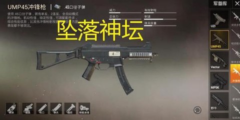 绝地求生车王是什么枪[图1]