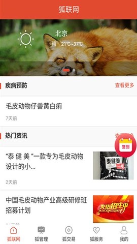 狐联网图1