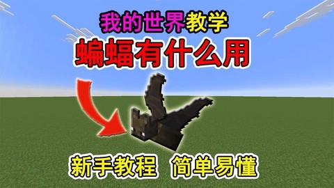 我的世界蝙蝠吃什么