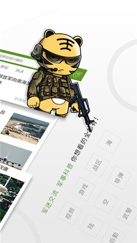 迷彩虎图2