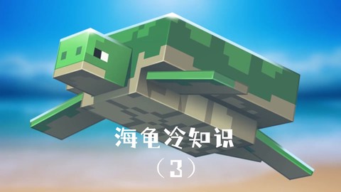 我的世界海龟有什么用